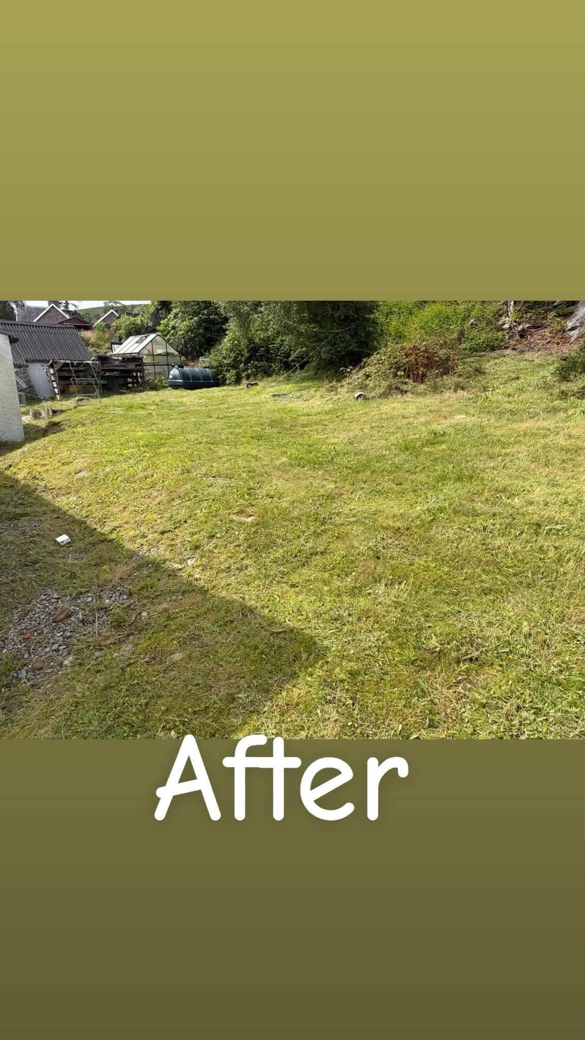 Garden after work
